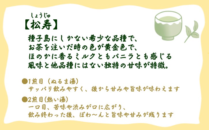 種子島 射場貴大 茶園 「松寿」 「くりわたせ」 「しまみどり」 種子島 限定 茶 セット　NFN571 【275pt】 // 日本茶 緑茶 希少品種 お茶 新茶 一番茶 松寿 くりわたせ しまみどり