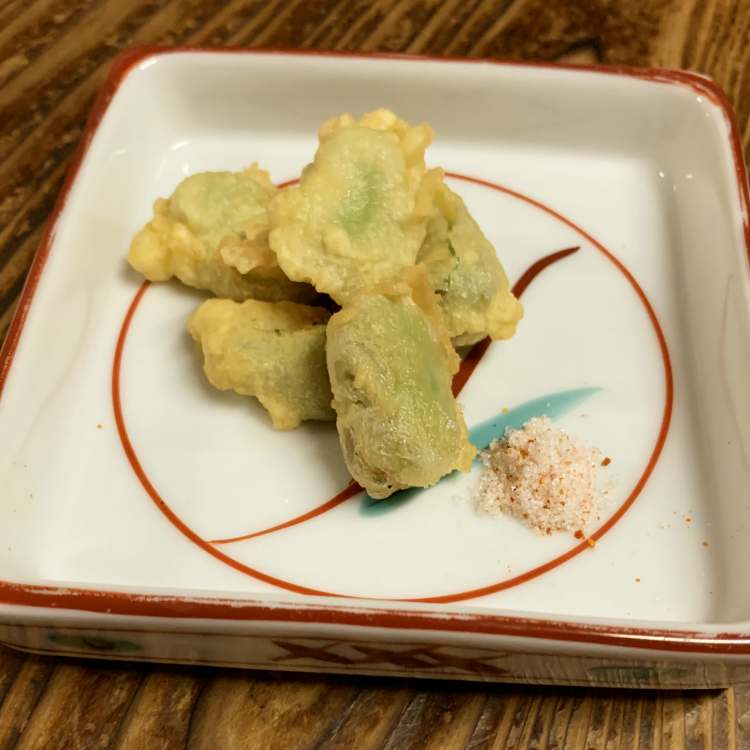 種子島 農園 のむさん 早春 の そらまめ 4ｋｇ　NFN300【600pt】