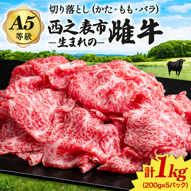 「自慢の逸品」西之表市生まれの黒毛和牛 切り落とし 肉 （ 200g×5パック）  NFN539 【300pt 】 // 最高級 赤身 切り落とし肉 かた 肩 もも バラ イノシン酸 種子島 生まれ 雌牛 オレイン酸 和牛 牛肉