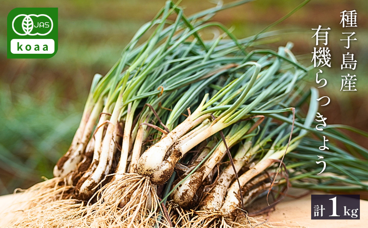 【 先行予約 】 たねがしま らっきょう 誠農園 ( 種子島 有機 JAS 根つき 生らっきょう) 1kg　NFN583【250pt】 // 有機栽培 オーガニック 安心・安全 栄養価が高い 健康食材 甘酢 キムチ等の漬物 天ぷら