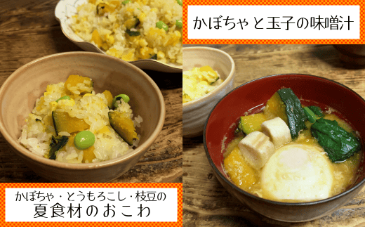 【 6月 発送 】種子島 産 完熟 かぼちゃ （ えびす 南瓜） ４玉　NFN495【375pt】