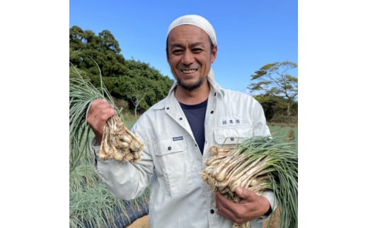 【 先行予約 】誠農園 の  たねがしま  らっきょう  （  有機  JAS  根つき  生らっきょう ）４ｋｇ　NFN490【700pt】 // 有機栽培 オーガニック 安心・安全 栄養価が高い 健康食材 甘酢 キムチ等の漬物 天ぷら 