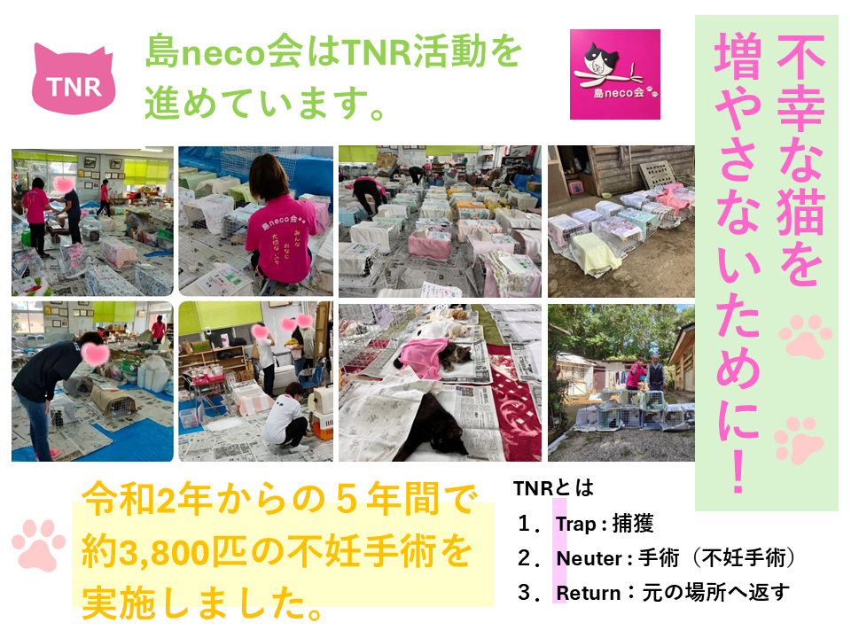 縲占ソ皮、シ蜩√↑縺励醍賢諢幄ュキ豢サ蜍墓髪謠エ NFN639 縲125PT縲// 迚ケ螳夐撼蝟カ蛻ゥ豢サ蜍墓ウ穂ココ縲遞ョ蟄仙ウカ 蟲カneco莨