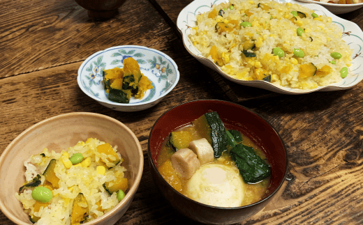 【 6月 発送 】種子島 産 完熟 かぼちゃ （ えびす 南瓜） ４玉　NFN495【375pt】