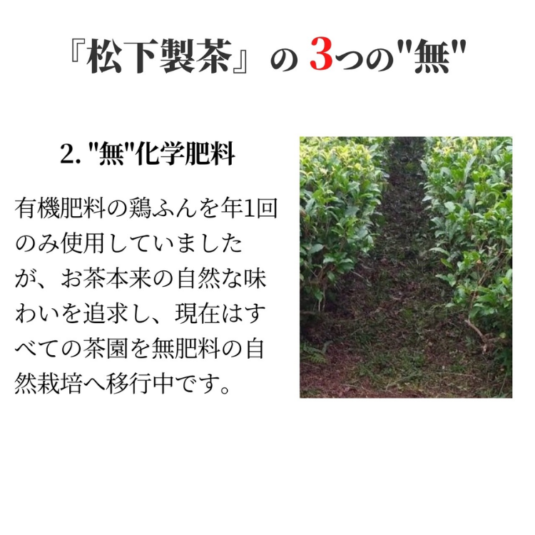 【 先行予約 】 種子島 の 有機 粉末 緑茶 ２袋  松下製茶 NFN670【150pt】 // ふんまつ パウダー フンマツ オーガニック 一番茶