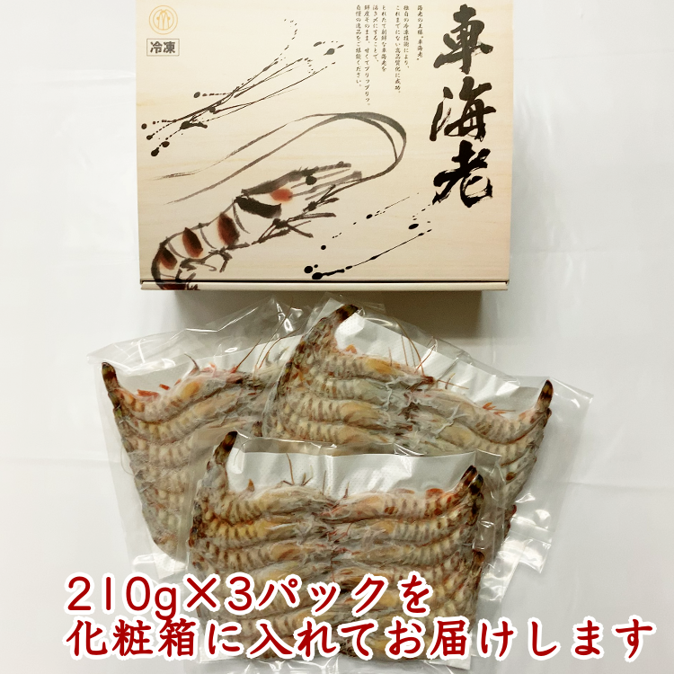ミニ・車えび（生食用冷凍・化粧箱入り）210g×3パック