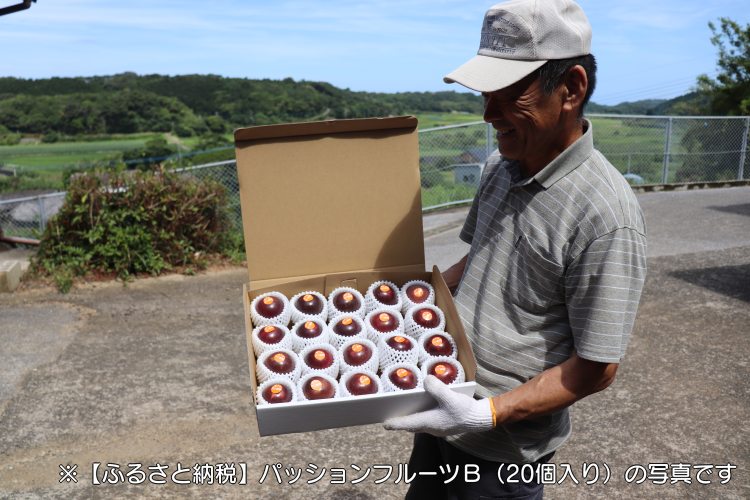【先行予約】種子島 産 パッション フルーツ (12個入り) 　NFN039 【300pt】