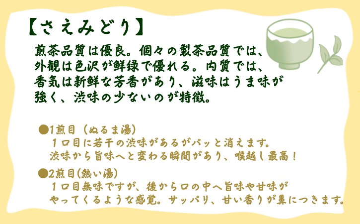 種子島 射場貴大 茶園 「さえみどり」 「あさつゆ」 「なんめい」 「やぶきた」 茶ツウ が 喜ぶ 単品 味わい セット　NFN573【300pt】 // 日本茶 緑茶 お茶 新茶 一番茶 詰め合わせ セット お茶堪能 さえみどり あさつゆ なんめい やぶきた