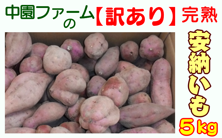 中園ファーム の [訳あり] 完熟 安納いも 5kg NFN401 [200pt]