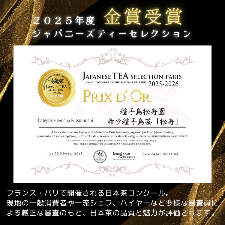 縲 蜈郁。御コ育エ 縲 蟶悟ー大刀遞ョ 遞ョ蟄仙ウカ 闌カ 縲 譚セ蟇ソ 縲1陲九 NFN613縲175pt縲// 譁ー闌カ 邱題幻