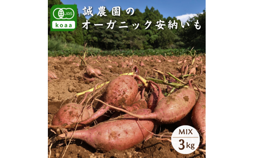 種子島 産 オーガニック (有機) 種子島安納いも (誠農園) ３kg　NFN599 【250pt】 有機栽培 有機JAS認証 皮まで丸ごと 安納いも 安納芋 熟成 糖度 オーガニック 安心安全