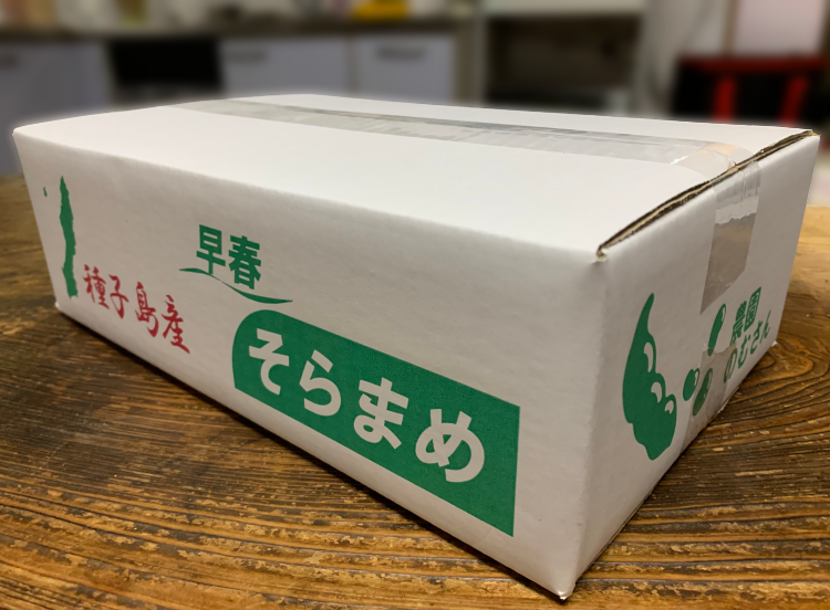 【 先行予約 】種子島 農園  のむさん 早春 の そらまめ 2ｋｇ　NFN299【375pt】