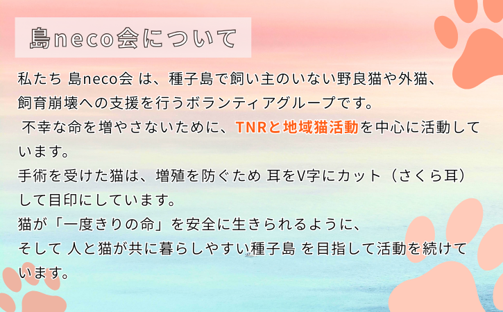 縲占ソ皮、シ蜩√↑縺励醍賢諢幄ュキ豢サ蜍墓髪謠エ NFN642 縲100PT縲// 迚ケ螳夐撼蝟カ蛻ゥ豢サ蜍墓ウ穂ココ縲遞ョ蟄仙ウカ 蟲カneco莨