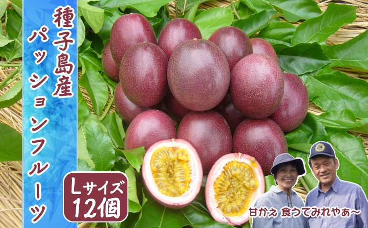 【 6月下旬～8月初旬 先行予約 】種子島 さご農園 パッションフルーツ サマークイーン (12個)　NFN039【300pt】 // 種子島産 夏期限定 南国 無農薬 安心 安全 K-GAP 果物 夏の果物