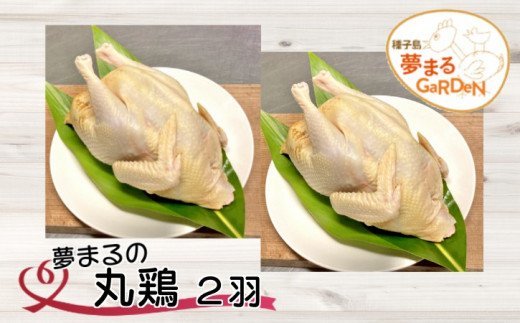 種子島 夢まる 丸鶏（２羽）　NFN450【725pt】