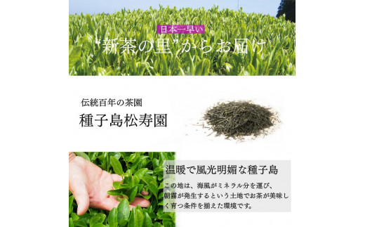 【たねがしまる4000】 種子島 松寿園 香る 紅茶 フレーバーティー 「 ステビア と 緑茶 」1袋　NFN925【100pt】