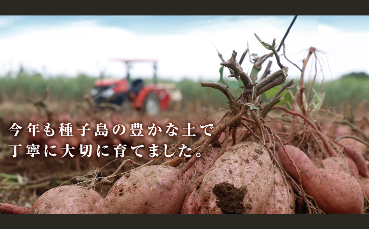 ç³èµçæ å®çŽè ïŒ çŽ
ã¯ãã å·å çŒãã èš2kg NFN558 ã375ptã