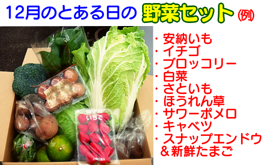 種子島発！ 旬の野菜 鶏卵セット　NFN194【350pt】 // 旬 新鮮 玉子 セット 安納芋 ニガダケ 生落花生 パッションフルーツ たまご 産地直送