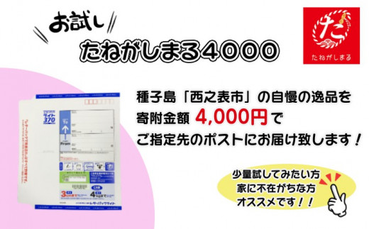 【たねがしまる4000】 種子島 松寿園 香る 紅茶 フレーバーティー 「 たんかん と 紅茶 」1袋　NFN926【100pt】