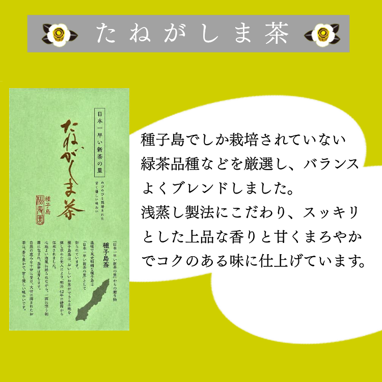 【 先行予約 】 種子島 松寿園 特選 たねがしま茶 1袋　NFN614【150pt】 // 新茶 緑茶