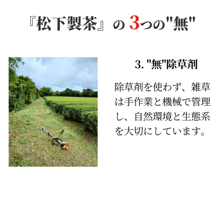 【 先行予約 】 種子島 の 有機 粉末 緑茶 ２袋  松下製茶 NFN670【150pt】 // ふんまつ パウダー フンマツ オーガニック 一番茶