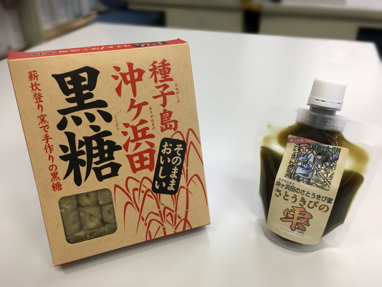 伝統製法 黒糖 箱入り＆さとうきび蜜 セット 　NFN257 【300pt】