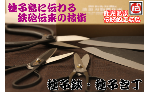 種子鋏 （たねばさみ） ５寸 黒仕上 木箱入　NFN160 【875pt】