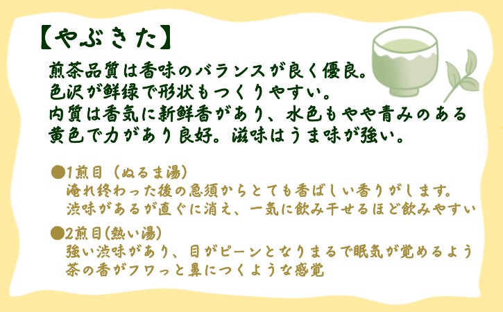 種子島 射場貴大 茶園 「さえみどり」 「あさつゆ」 「なんめい」 「やぶきた」 茶ツウ が 喜ぶ 単品 味わい セット　NFN573【300pt】 // 日本茶 緑茶 お茶 新茶 一番茶 詰め合わせ セット お茶堪能 さえみどり あさつゆ なんめい やぶきた