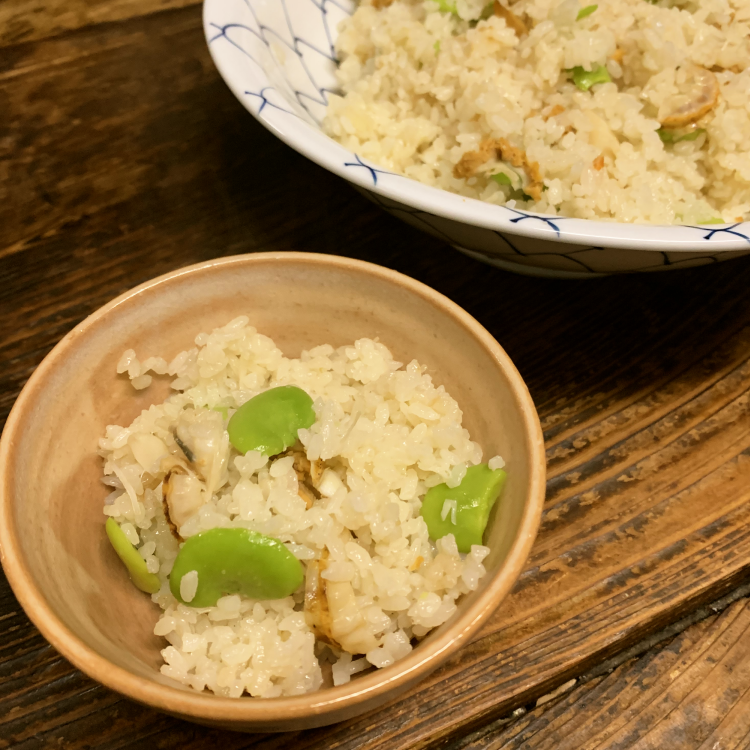 種子島 農園 のむさん 早春 の そらまめ 4ｋｇ　NFN300【600pt】