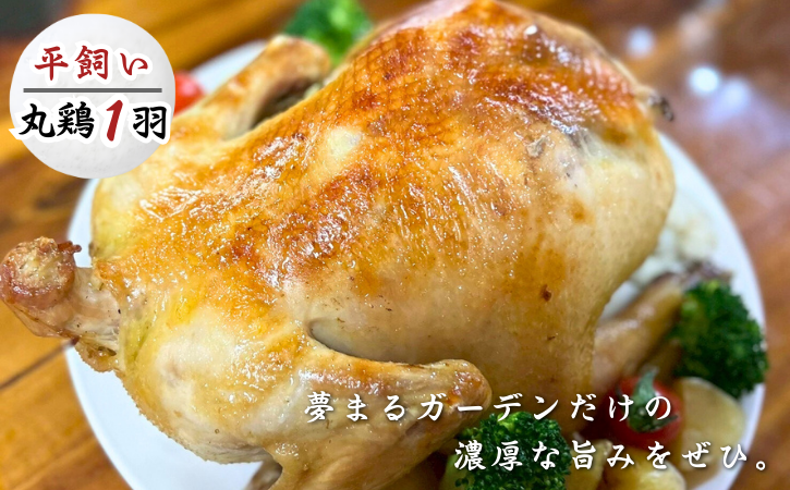 種子島 夢まるガーデン 若鶏 1羽分　NFN636 【600pt】// クリスマス用 ローストチキン 骨付きチキン