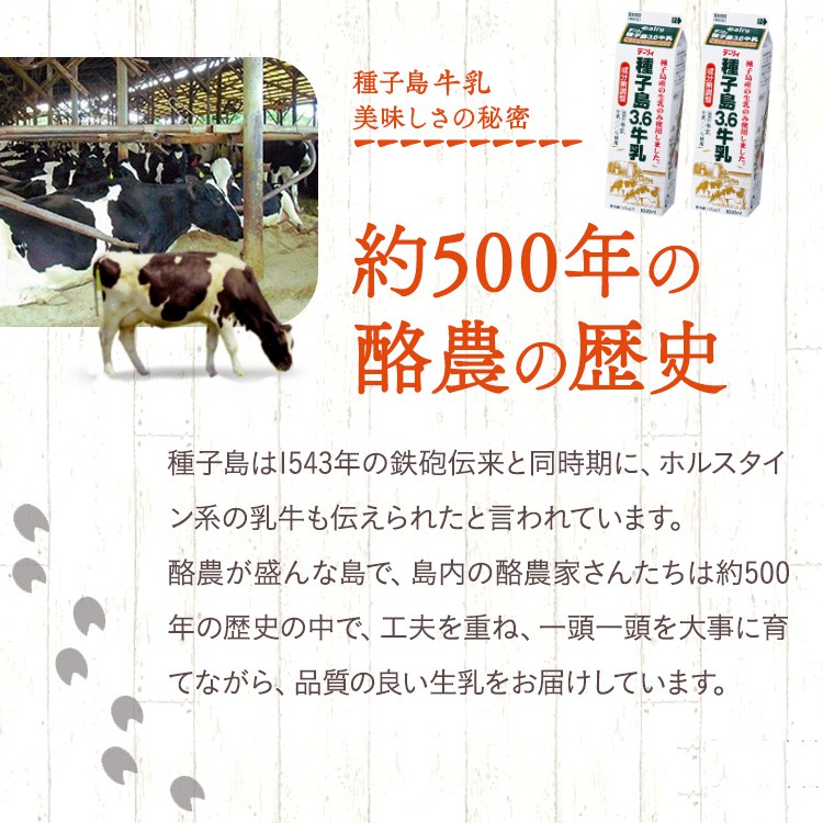 種子島 3.6 牛乳 10本 セット　NFN272 【400pt 】