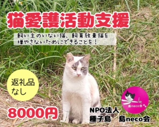 【返礼品なし】猫愛護活動支援 NFN640 【200PT】// 特定非営利活動法人　種子島 島neco会
