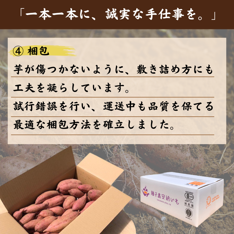  種子島 産 オーガニック  (有機)  種子島 安納いも  (誠農園) １０ｋｇ　NFN538 【650pt】