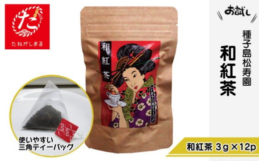 【たねがしまる4000】 種子島 松寿園 浮世絵柄 和紅茶 　NFN916【100pt】