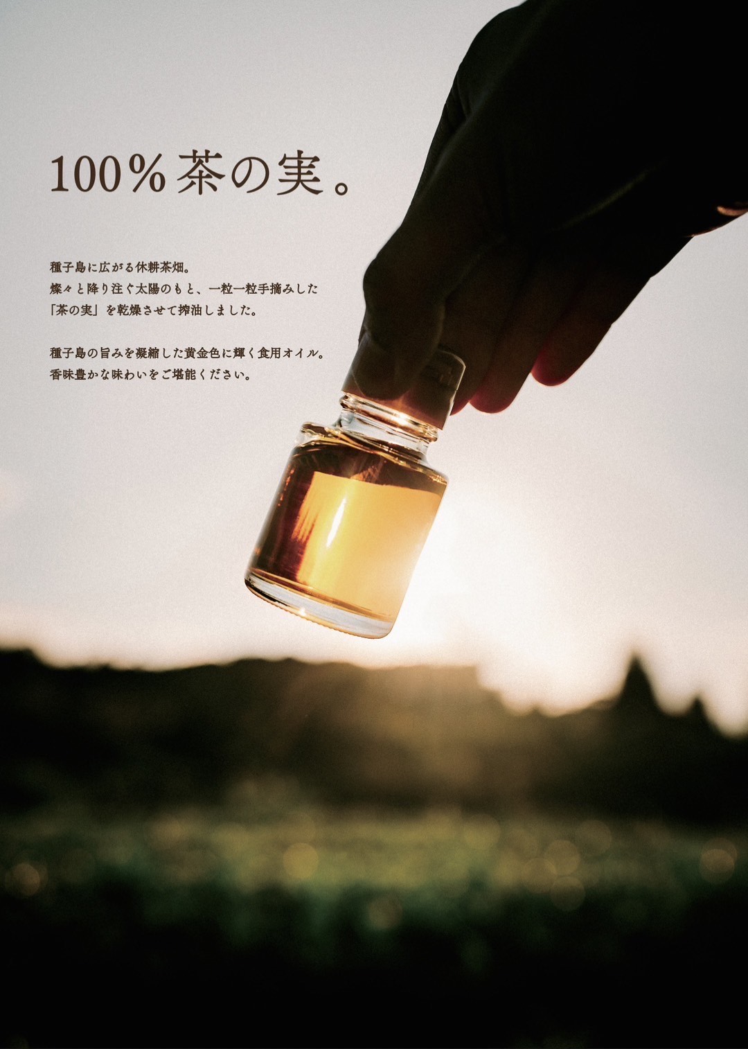 【数量限定】 種子島 種子の実 オイル  ( 茶 )  45ml　NFN482 【400pt】 // 農薬不使用 手摘み 茶の実 天日干し 非加熱圧搾 コールドプレス製法 茶の実オイル ビタミンＥ オレイン酸 コエンザイムQ10 サラダ ドレッシング パスタのソース 煮込み料理 100％自然 数量限定