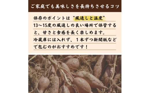  種子島 産 オーガニック  (有機)  種子島 安納いも  (誠農園) １０ｋｇ　NFN538 【650pt】