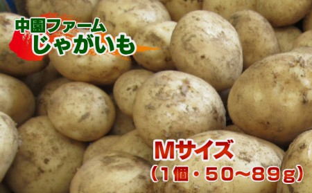 【 2025年 収穫 】  中園ファーム の  新 じゃがいも  M サイズ  10kg　NFN398 【350pt】