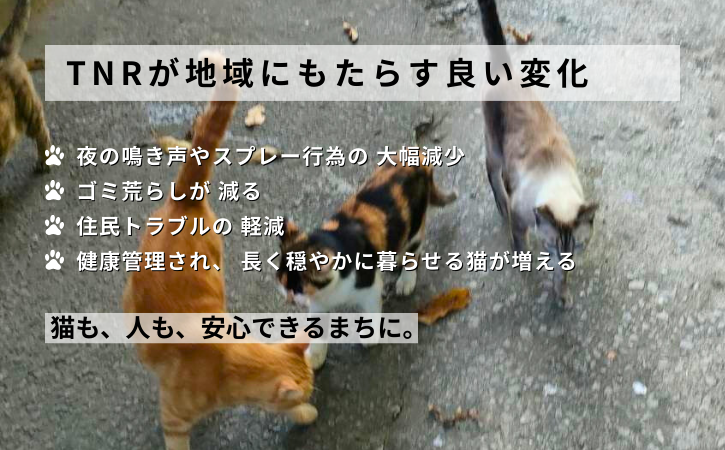 縲占ソ皮、シ蜩√↑縺励醍賢諢幄ュキ豢サ蜍墓髪謠エ NFN639 縲125PT縲// 迚ケ螳夐撼蝟カ蛻ゥ豢サ蜍墓ウ穂ココ縲遞ョ蟄仙ウカ 蟲カneco莨