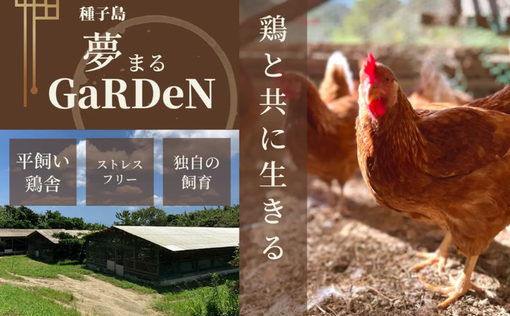 çš®åå³¶ 倢ãŸãã¬ãŒãã³ è¥é¶ 1矜 å çŽ1,8kg ïŒ ç²Ÿè çš ïŒãNFN635 ã675ptã// ã ã ã¢ã¢ ãµãµã åæã ç
§ãçŒã çŒãé³¥ æ°é®®