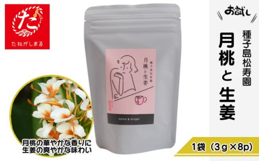 【たねがしまる4000】 種子島 松寿園 香る 紅茶 フレーバーティー 「 月桃 と 生姜 」1袋　NFN924【100pt】