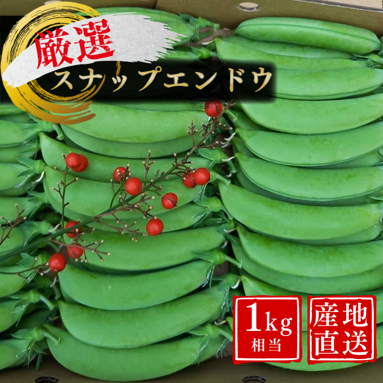 ＼ 先行予約／  厳選 こだわり の スナップエンドウ 1kg 相当 種子島産 産地直送 旬　NFN551【300pt】