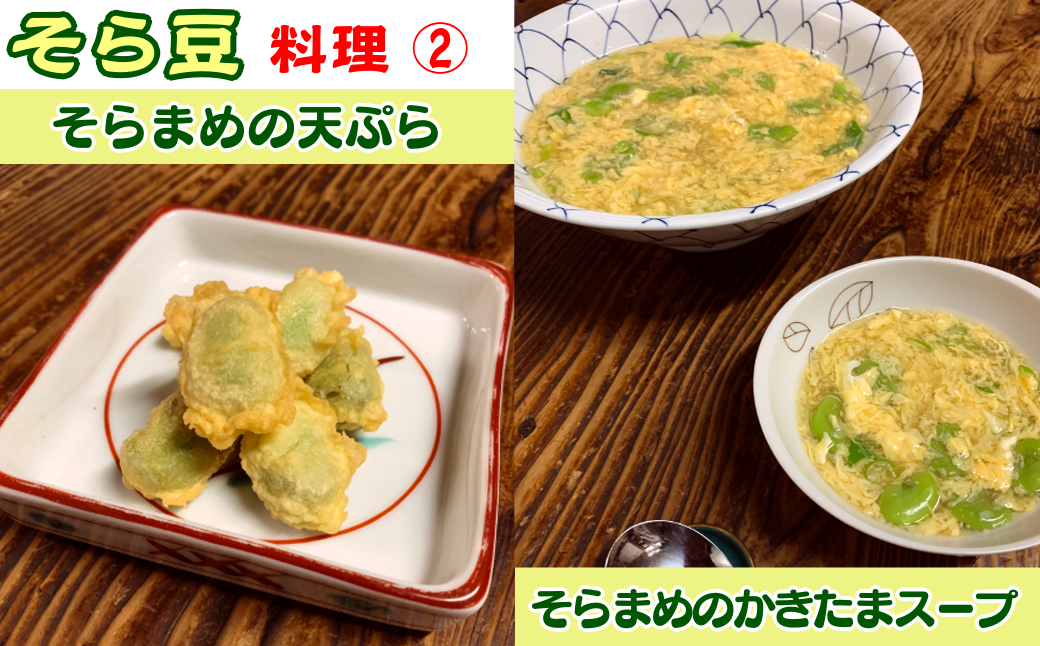 種子島 農園 のむさん 早春 の そらまめ 4ｋｇ　NFN300【600pt】