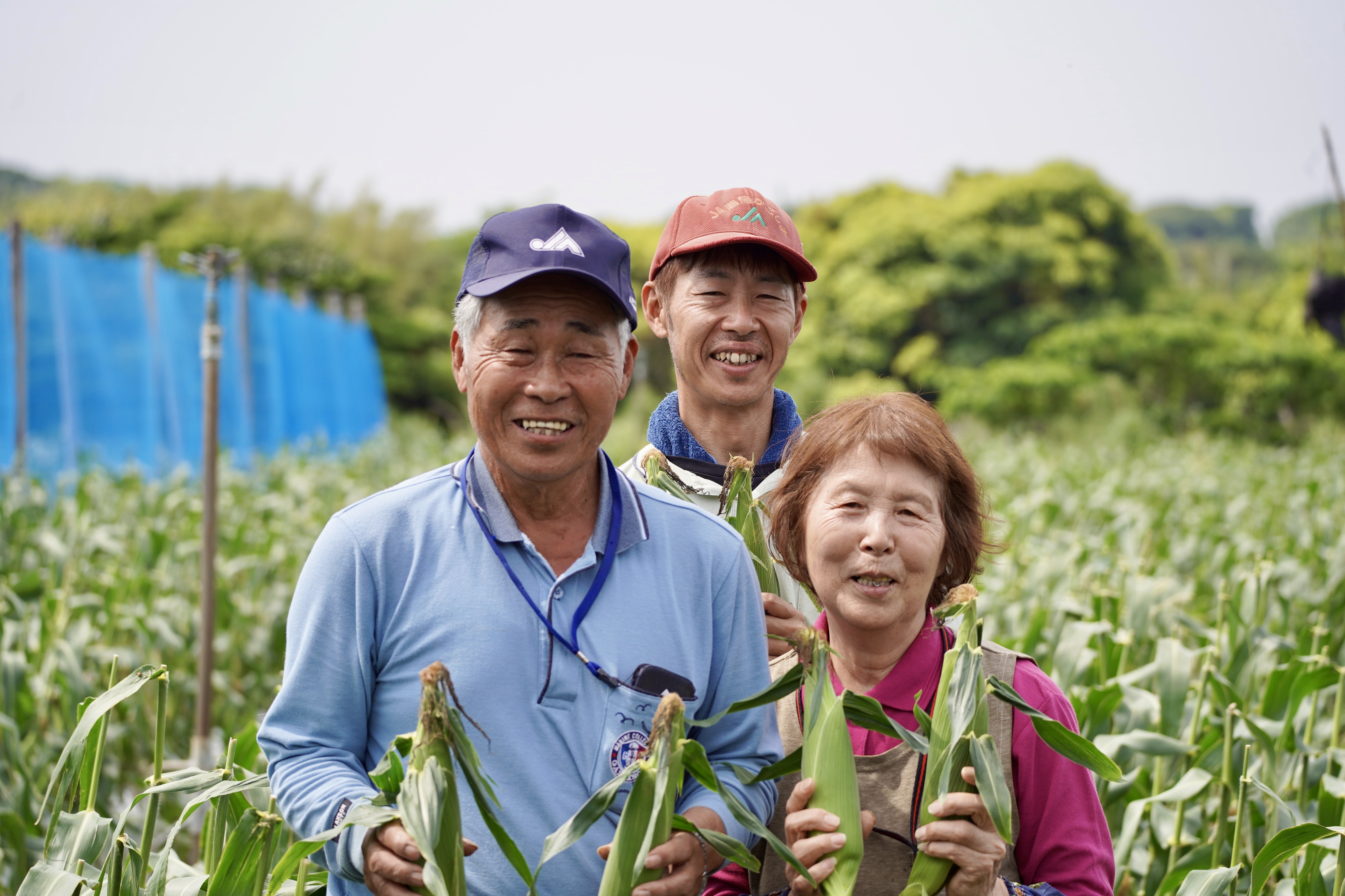  【 先行予約 】 種子島 産 朝 どれ とうもろこし （15〜18本）　NFN319【375pt】