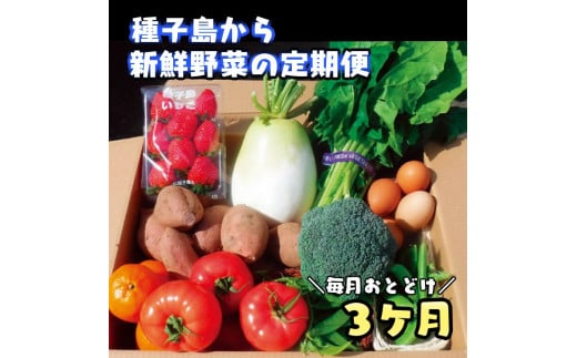 ３か月 定期便 ・ 種子島 の 新鮮  野菜 と 果物 ７〜１０品 と 鶏卵 セット　NFN475【975pt】