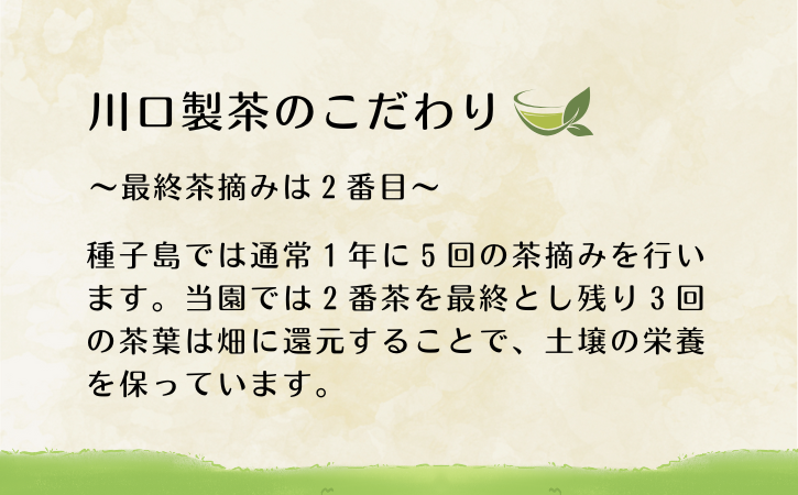 【 先行予約 】　種子島 川口製茶 えなみどり 茶葉 80g NFN625【125pt】