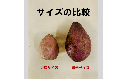種子島 酒造 の  熟成 冷凍 安納 焼き芋【 食べやすい 小粒サイズ 】   NFN506 【450pt】