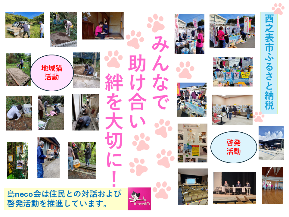 縲占ソ皮、シ蜩√↑縺励醍賢諢幄ュキ豢サ蜍墓髪謠エ NFN640 縲200PT縲// 迚ケ螳夐撼蝟カ蛻ゥ豢サ蜍墓ウ穂ココ縲遞ョ蟄仙ウカ 蟲カneco莨