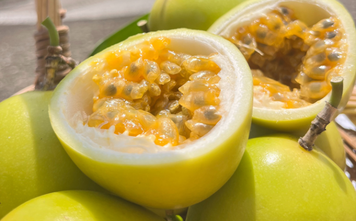 ã 7æäžæ¬ïœ8æ å
è¡äºçŽ ãçš®åå³¶ é»è²ã ããã·ã§ã³ãã«ãŒã ãã蟲å (20åå
¥ã)ãNFN600 ã450ptã // 倿éå® å®å¿ã»å®å
š