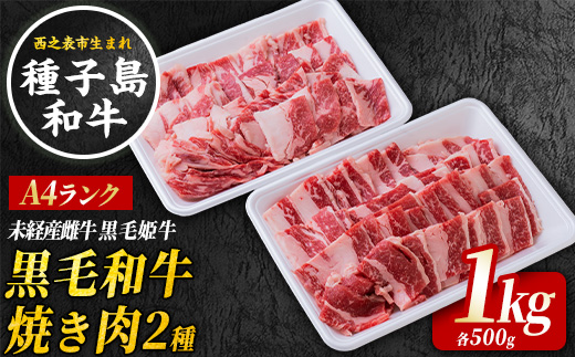 【西之表市生まれの黒毛和牛】 BBQ  焼肉 セット 1kg　 NFN547 【1425pt】 // 種子島 黒毛和牛 牛バラ 焼肉用 ウデ肉 赤身 BBQ 人気の部位 A4ランク オススメのセット 黒毛姫牛 牛肉