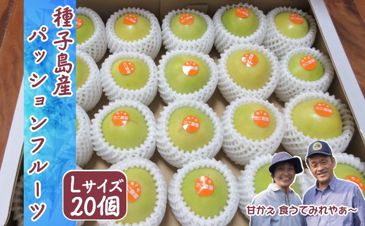 ã 7æäžæ¬ïœ8æ å
è¡äºçŽ ãçš®åå³¶ é»è²ã ããã·ã§ã³ãã«ãŒã ãã蟲å (20åå
¥ã)ãNFN600 ã450ptã // 倿éå® å®å¿ã»å®å
š